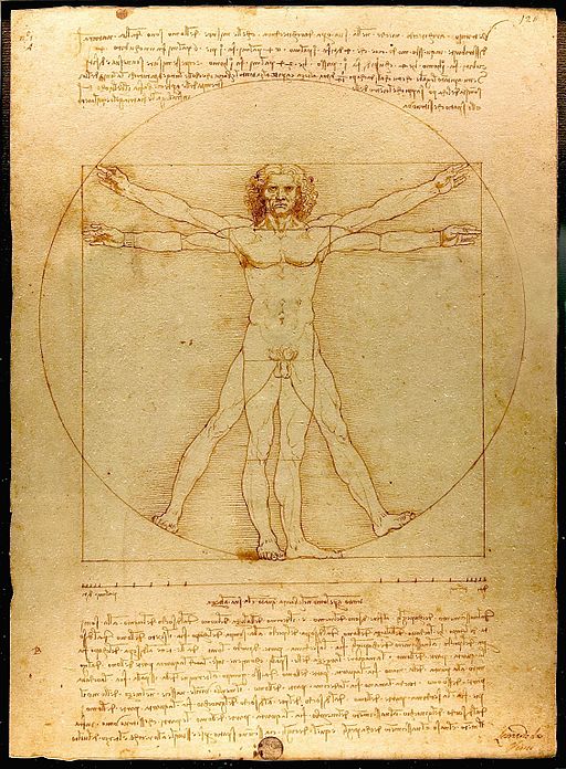El hombre de Vitrubio, de Leonardo da Vinci