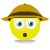 Sorprender